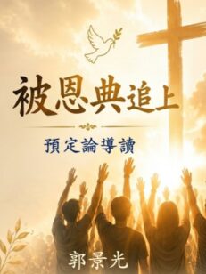 #10030 被恩典追上：預定論導讀
